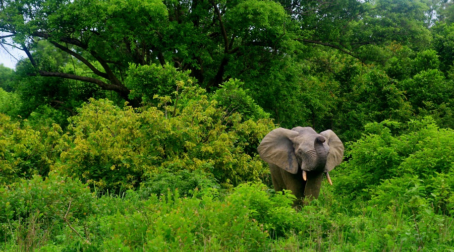is tanzania safe for solo travelers